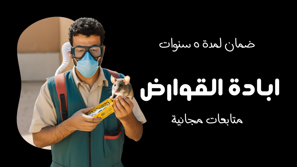 شركة مكافحة حشرات في مدينتي