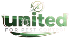 الشركة الألمانية يونايتد جروب